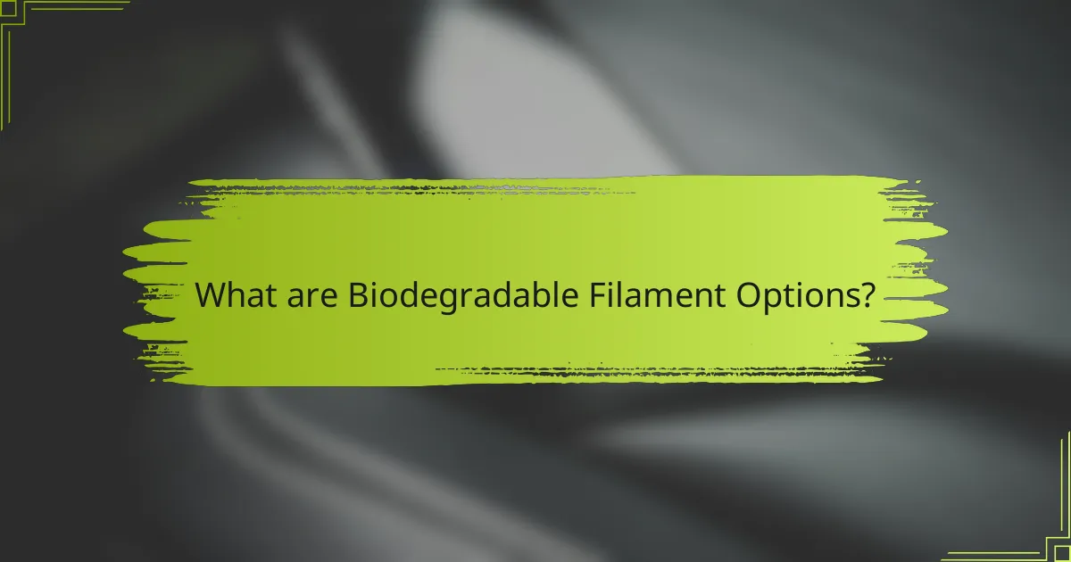What are Biodegradable Filament Options?